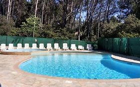 STUDIO RDJ TERRASSE PISCINE SANARY SUR MER Proche plages à pieds